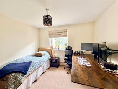 Picture 14